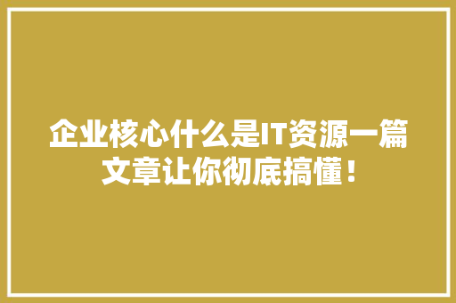 企业核心什么是IT资源一篇文章让你彻底搞懂！ 必应SEO