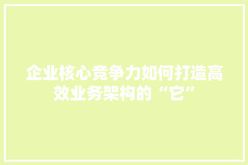 企业核心竞争力如何打造高效业务架构的“它” 百度SEO