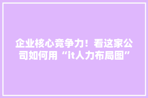 企业核心竞争力！看这家公司如何用“it人力布局图”打造高效团队！ GoogleSEO