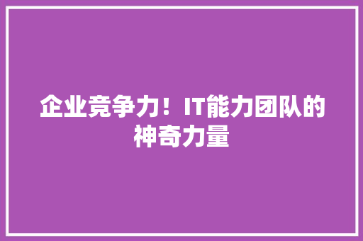 企业竞争力！IT能力团队的神奇力量 必应SEO