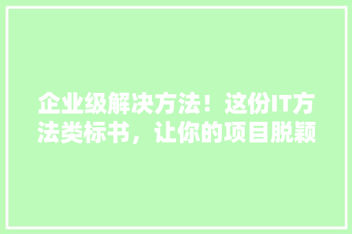 企业级解决方法！这份IT方法类标书，让你的项目脱颖而出！ 必应SEO