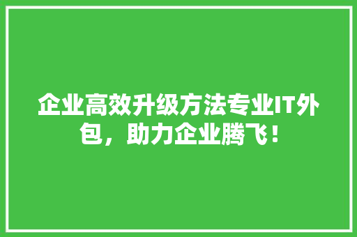 企业高效升级方法专业IT外包，助力企业腾飞！ 必应SEO