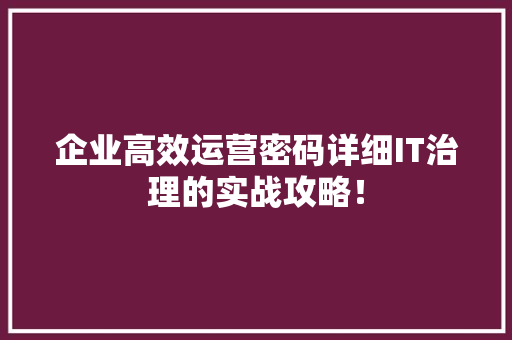 企业高效运营密码详细IT治理的实战攻略！