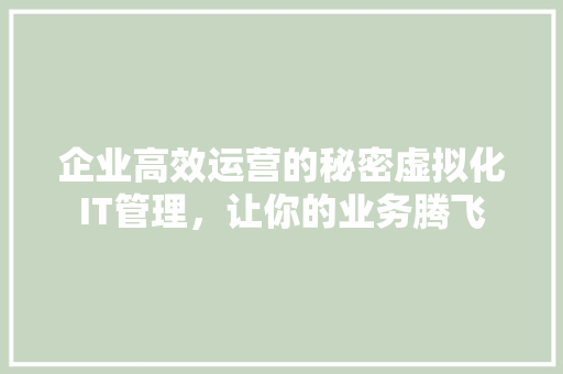 企业高效运营的秘密虚拟化IT管理，让你的业务腾飞 GoogleSEO