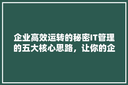 企业高效运转的秘密IT管理的五大核心思路，让你的企业起飞 必应SEO