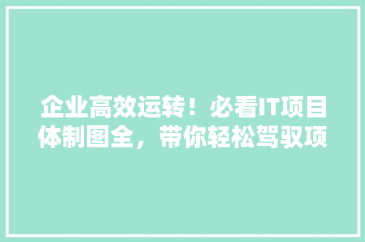 企业高效运转！必看IT项目体制图全，带你轻松驾驭项目管理！ 必应SEO