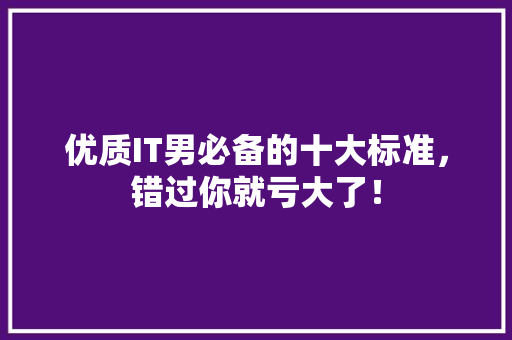优质IT男必备的十大标准，错过你就亏大了！ 搜狗SEO