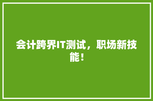 会计跨界IT测试，职场新技能！ 必应SEO