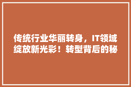传统行业华丽转身，IT领域绽放新光彩！转型背后的秘密 GoogleSEO