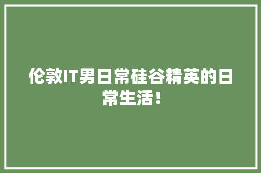伦敦IT男日常硅谷精英的日常生活！ GoogleSEO