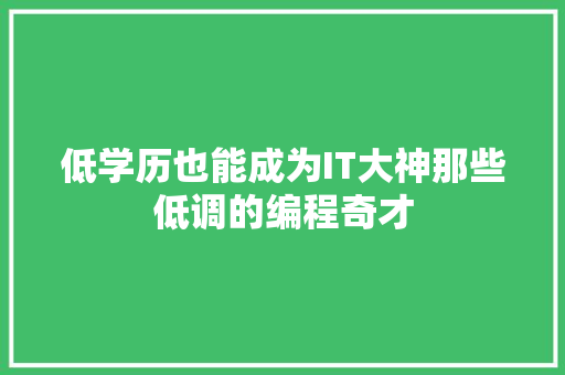 低学历也能成为IT大神那些低调的编程奇才 神马SEO