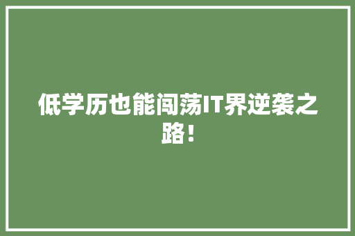 低学历也能闯荡IT界逆袭之路！ 神马SEO