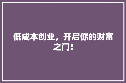 低成本创业，开启你的财富之门！ 神马SEO