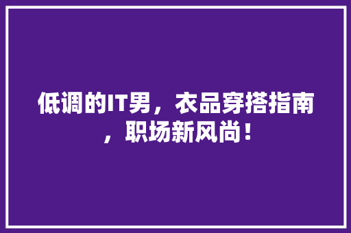 低调的IT男，衣品穿搭指南，职场新风尚！ 必应SEO