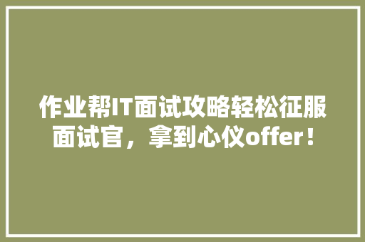 作业帮IT面试攻略轻松征服面试官，拿到心仪offer！ 必应SEO