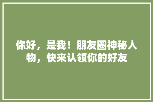 你好，是我！朋友圈神秘人物，快来认领你的好友