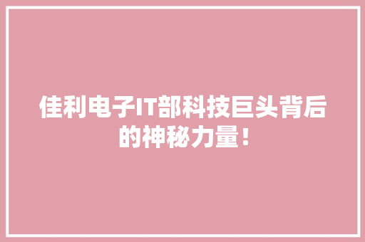 佳利电子IT部科技巨头背后的神秘力量！ 神马SEO