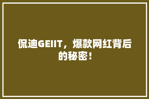 侃迪GEIIT，爆款网红背后的秘密！ 神马SEO
