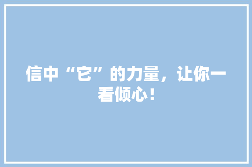信中“它”的力量，让你一看倾心！ GoogleSEO