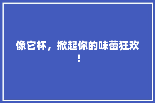 像它杯，掀起你的味蕾狂欢！ 神马SEO
