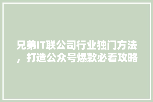 兄弟IT联公司行业独门方法，打造公众号爆款必看攻略！ GoogleSEO