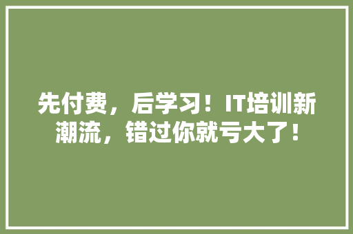 先付费，后学习！IT培训新潮流，错过你就亏大了！ 必应SEO