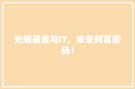 光耀基金与IT，未来财富密码！ 神马SEO