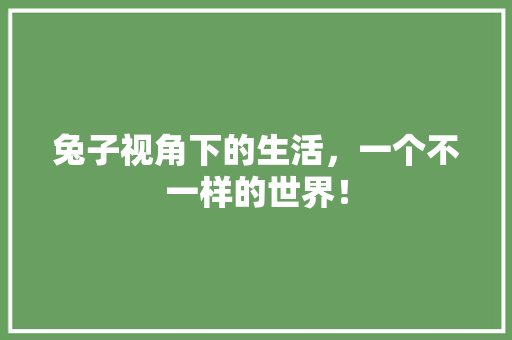兔子视角下的生活，一个不一样的世界！