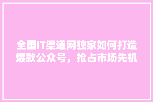全国IT渠道网独家如何打造爆款公众号，抢占市场先机！ GoogleSEO