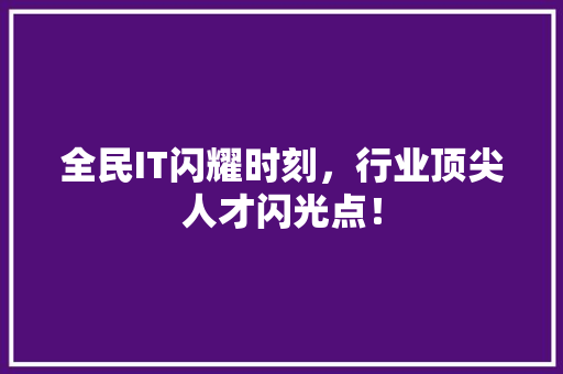 全民IT闪耀时刻，行业顶尖人才闪光点！ 神马SEO