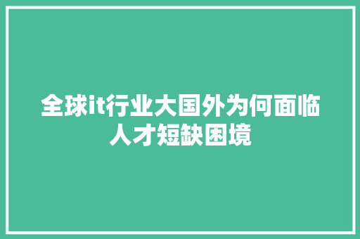 全球it行业大国外为何面临人才短缺困境 GoogleSEO