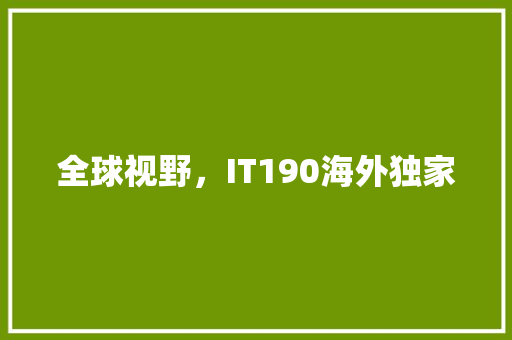 全球视野，IT190海外独家 必应SEO