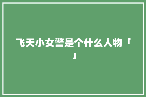飞天小女警是个什么人物「」 飞天小女警是个什么人物「」 必应SEO