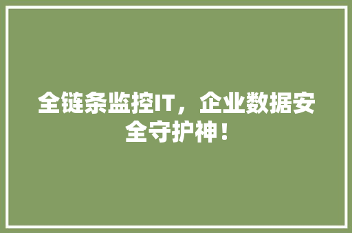 全链条监控IT，企业数据安全守护神！ 神马SEO
