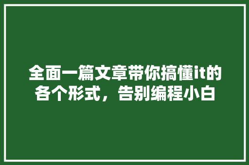 全面一篇文章带你搞懂it的各个形式，告别编程小白 GoogleSEO