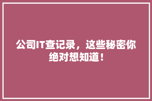 公司IT查记录，这些秘密你绝对想知道！ 百度SEO