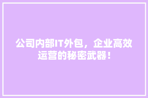 公司内部IT外包，企业高效运营的秘密武器！ GoogleSEO