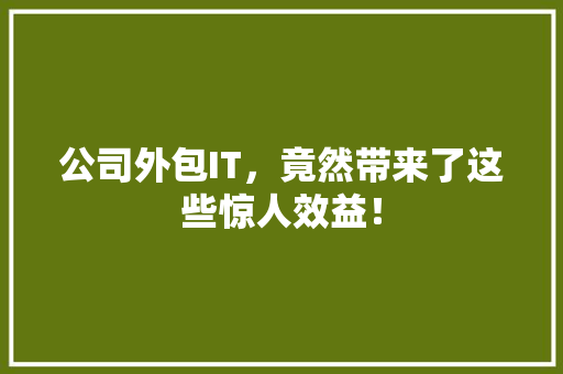 公司外包IT，竟然带来了这些惊人效益！ 必应SEO