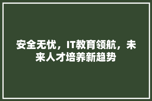 安全无忧，IT教育领航，未来人才培养新趋势 GoogleSEO