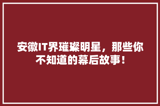 安徽IT界璀璨明星，那些你不知道的幕后故事！ GoogleSEO