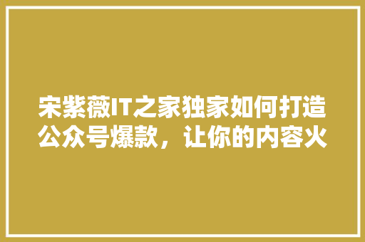 宋紫薇IT之家独家如何打造公众号爆款，让你的内容火遍全网！ 神马SEO