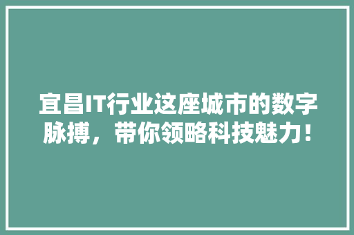 宜昌IT行业这座城市的数字脉搏，带你领略科技魅力！ 搜狗SEO