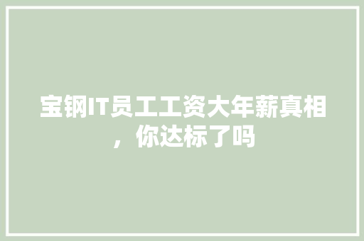 宝钢IT员工工资大年薪真相，你达标了吗 GoogleSEO