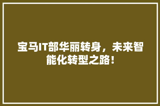 宝马IT部华丽转身，未来智能化转型之路！ 神马SEO