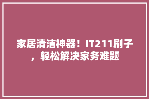 家居清洁神器！IT211刷子，轻松解决家务难题 GoogleSEO