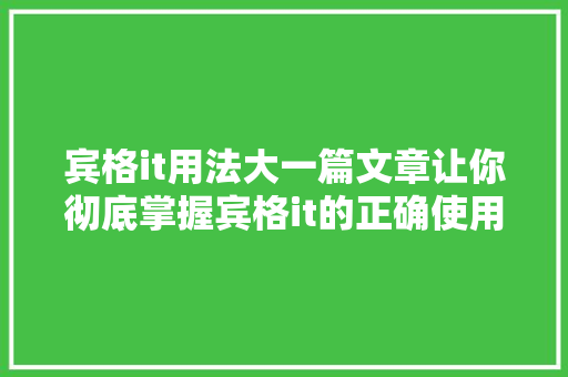 宾格it用法大一篇文章让你彻底掌握宾格it的正确使用方法 必应SEO