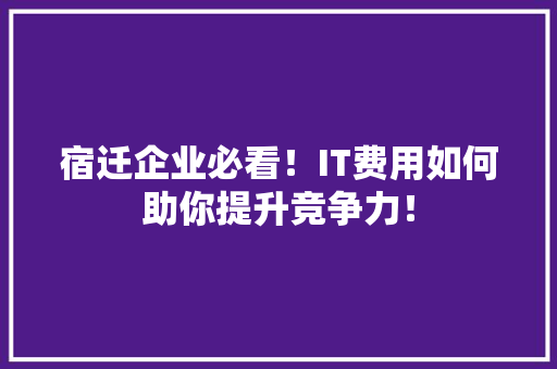 宿迁企业必看！IT费用如何助你提升竞争力！