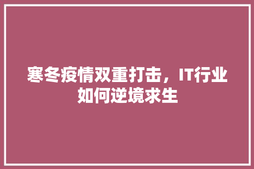 寒冬疫情双重打击，IT行业如何逆境求生 百度SEO