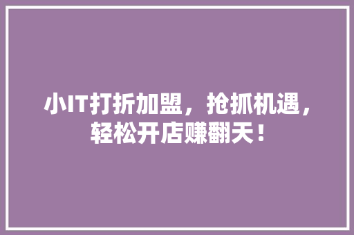 小IT打折加盟，抢抓机遇，轻松开店赚翻天！ 百度SEO