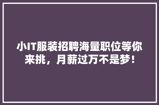 小IT服装招聘海量职位等你来挑，月薪过万不是梦！ 搜狗SEO